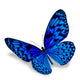 Blue Butterfly Wall Decal