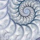 Abstract Fractal Spiral White Wall Decal