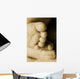 A Baby's Feet Wall Mural