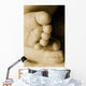 A Baby's Feet Wall Mural
