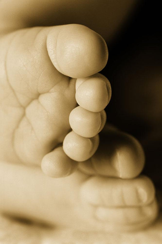 A Baby's Feet Wall Mural