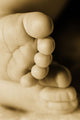 A Baby's Feet Wall Mural