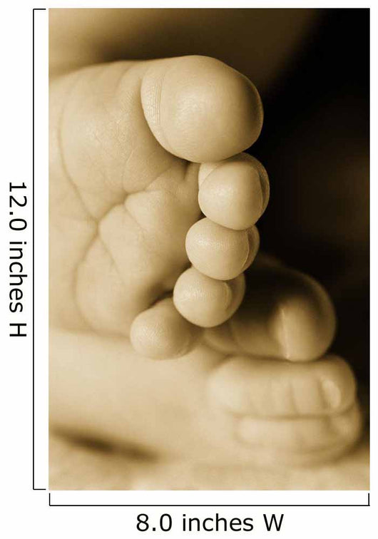 A Baby's Feet Wall Mural