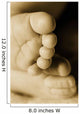 A Baby's Feet Wall Mural