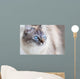 Domestic Cat Wall Decal