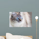 Domestic Cat Wall Decal