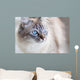 Domestic Cat Wall Decal