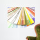 Color Guide Wall Decal