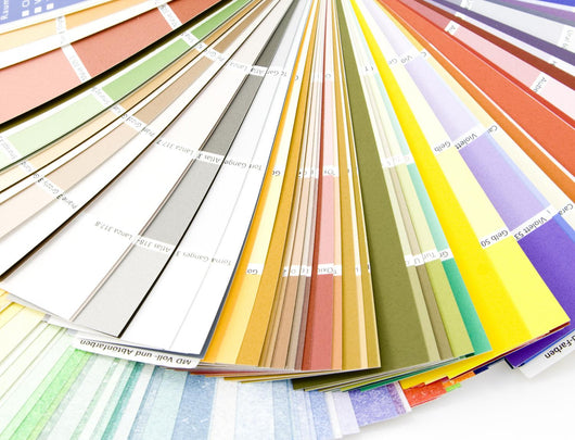Color Guide Wall Decal