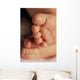 Baby's Feet Wall Mural