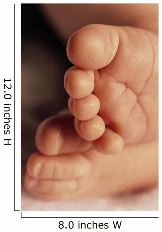 Baby's Feet Wall Mural