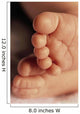 Baby's Feet Wall Mural