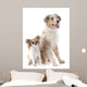 Australian Shepherd and Chihuahua Wall Decal