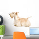 White Scottish Terrier Wall Decal