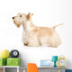 White Scottish Terrier Wall Decal