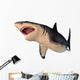 Megalodon Shark Wall Decal