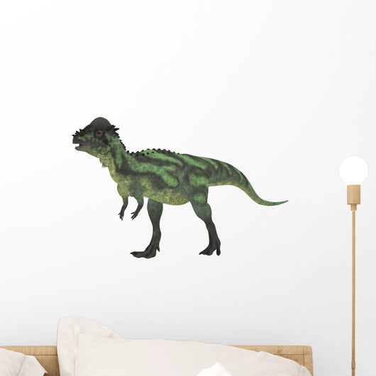 Pachycephalosaurus White Wall Decal