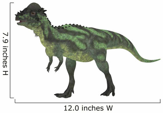 Pachycephalosaurus White Wall Decal