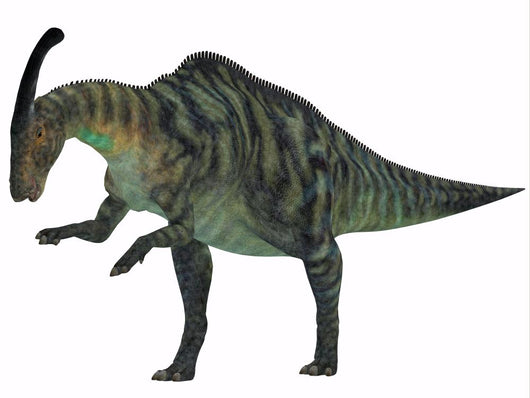 Parasaurolophus Dinosaur - Left Side Wall Decal