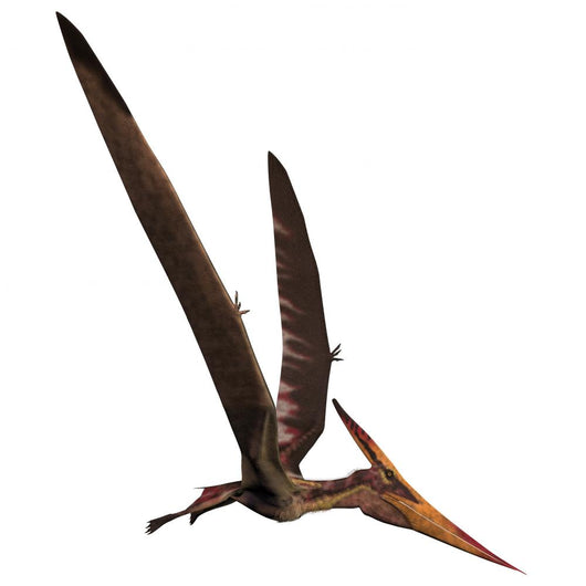 Pteranodon Dinosaur Wall Decal