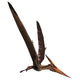 Pteranodon Dinosaur Wall Decal