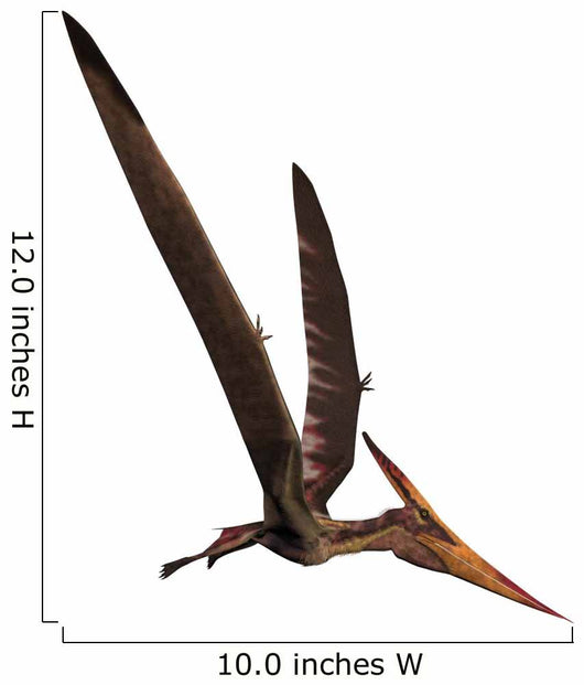 Pteranodon Dinosaur Wall Decal