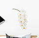 White Orchid Wall Decal