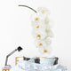 White Orchid Wall Decal