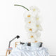 White Orchid Wall Decal