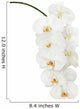 White Orchid Wall Decal
