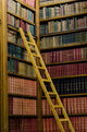 Wooden Ladder Old Library Wall Decal