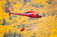 Hubschrauber im Waldbrand-einsatz Wall Decal