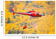 Hubschrauber im Waldbrand-einsatz Wall Decal