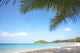 Tropic Bay Wall Decal
