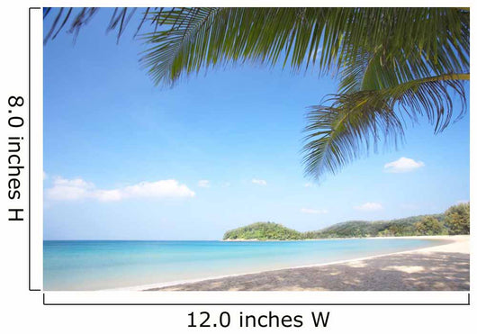 Tropic Bay Wall Decal