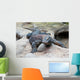 Big Komodo Dragon Wall Decal