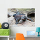 Big Komodo Dragon Wall Decal