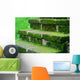 Moss Concrete Stair Forest Wall Decal