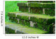 Moss Concrete Stair Forest Wall Decal