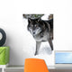 Gray Wolf Wall Decal