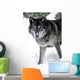 Gray Wolf Wall Decal