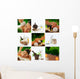 Sap Mix Wall Decal