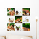 Sap Mix Wall Decal