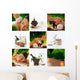 Sap Mix Wall Decal