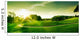 Sunset Hill Wall Decal