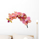 Pink and Orange Orchid Wall Decal