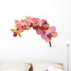 Pink and Orange Orchid Wall Decal