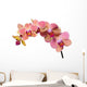 Pink and Orange Orchid Wall Decal