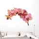 Pink and Orange Orchid Wall Decal
