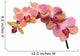 Pink and Orange Orchid Wall Decal